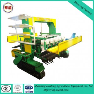 2ZBLZ-10 10-rows crawler vegetable/onion  transplanter