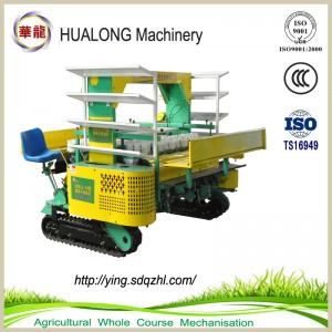 2ZBLZ-10 10-rows crawler vegetable/onion  transplanter