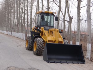 Multi Functions small wheel loader ZL20F