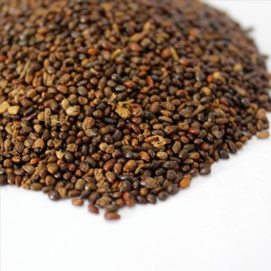 High Quality Seabuckthorn Seed Oil on Sell